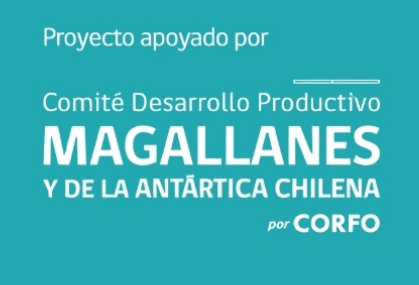 Logo Comite