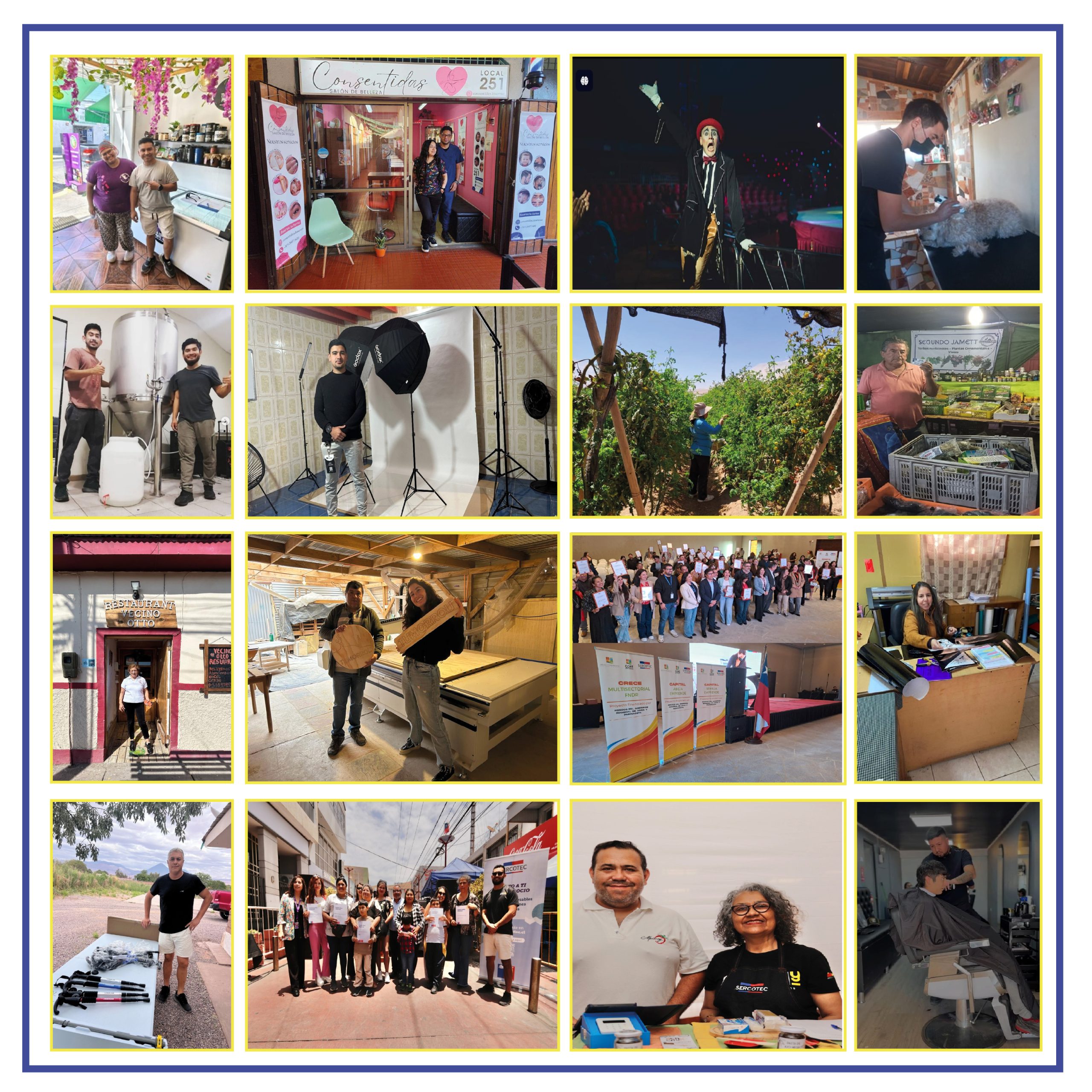 collage colbun clientes-02