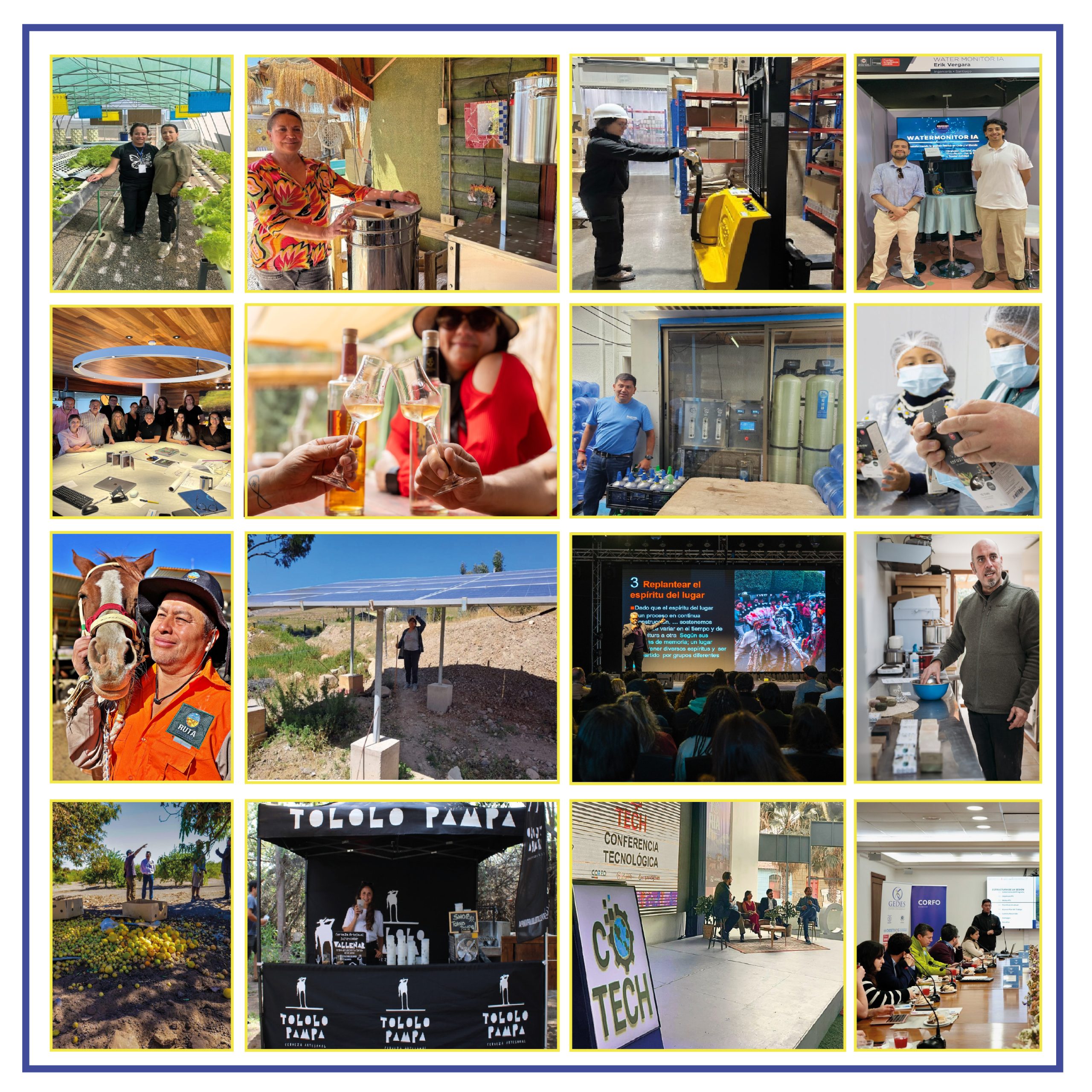 collage colbun clientes-03