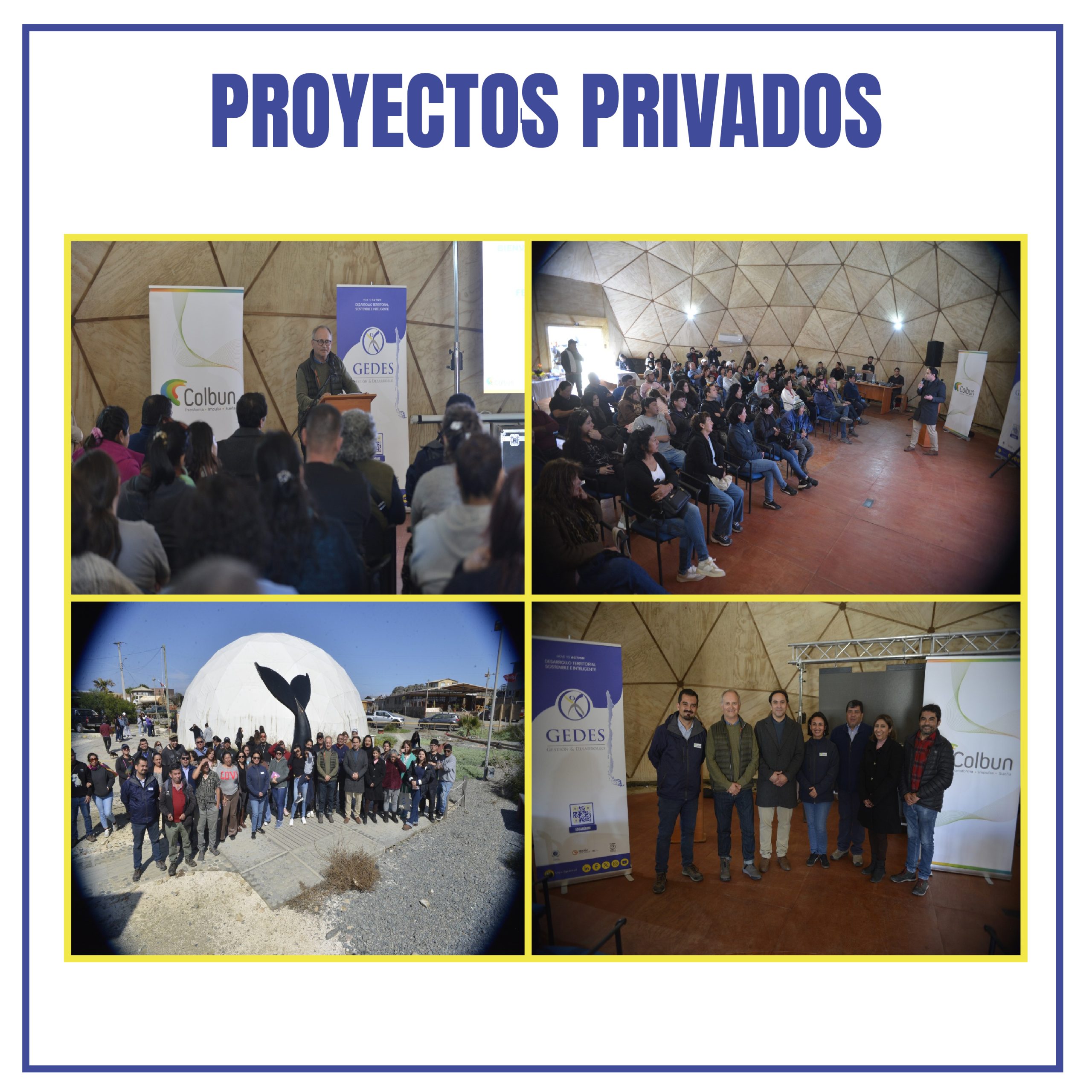 collage colbun clientes